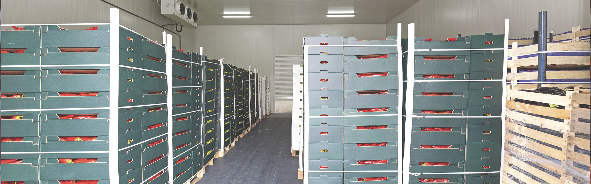 Controlled atmosphere in fruits and vegetables storage rooms